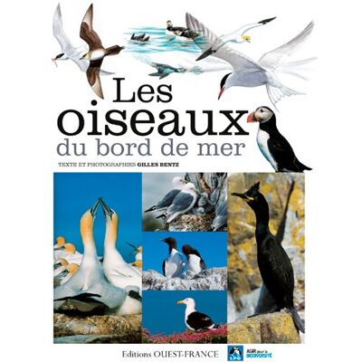 Gilles Bentz Les oiseaux du bord de mer - Publicité Gilles Bentz Les oiseaux du bord de mer - Publicité