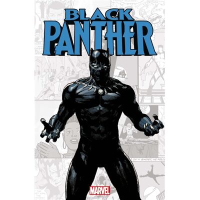 Marvel-Verse : Black Panther - Publicité Marvel-Verse : Black Panther - Publicité