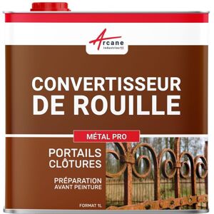 ARCANE INDUSTRIES ANTI ROUILLE METALPRO : Convertisseur de Rouille et Traitement contre la Rouille - Efficace sur Portail, Volet, Carrosserie, Vélo etc... 1 L - Publicité ARCANE INDUSTRIES ANTI ROUILLE METALPRO : Convertisseur de Rouille et Traitement contre la Rouille - Efficace sur Portail, Volet, Carrosserie, Vélo etc... 1 L - Publicité
