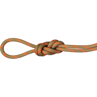 Mammut Corde à double pour l’escalade et l’alpinisme 8.0 Alpine Dry Rope 70m Vert 70 m - Publicité Mammut Corde à double pour l’escalade et l’alpinisme 8.0 Alpine Dry Rope 70m Vert 70 m - Publicité