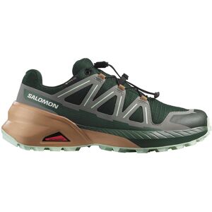 SALOMON SPEEDCROSS PEAK GTX W - Chaussures SCARAB/SOFTC/BAY 41,5 - Publicité SALOMON SPEEDCROSS PEAK GTX W - Chaussures SCARAB/SOFTC/BAY 41,5 - Publicité