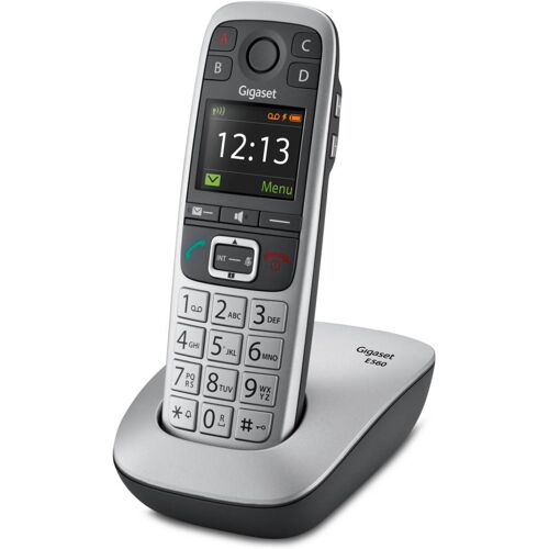Telephone sans fil GIGASET SIEMENS GIGA E 560 SILVER Image