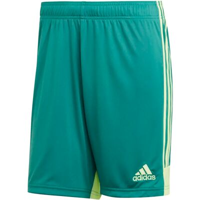 Adidas - Tastigo 19 DP3251 - Green - 164-169 cm - Shorts - Publicité Adidas - Tastigo 19 DP3251 - Green - 164-169 cm - Shorts - Publicité