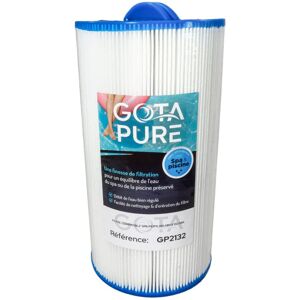 Pure Filtre spa Peips 285 mm x 150 mm - Publicité Pure Filtre spa Peips 285 mm x 150 mm - Publicité