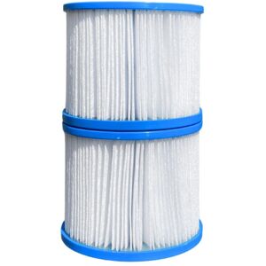 Pure Filtre spa gonflable Clever spa Pack de 2 - Publicité Pure Filtre spa gonflable Clever spa Pack de 2 - Publicité