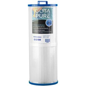 Pure Filtre Spa 817-4050 / PWW50L / 4CH949 / 42522 / SC757 - Publicité Pure Filtre Spa 817-4050 / PWW50L / 4CH949 / 42522 / SC757 - Publicité