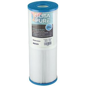 Pure Filtre Spa PRB25-IN / C-4326 / 42513 / RD25 - Publicité Pure Filtre Spa PRB25-IN / C-4326 / 42513 / RD25 - Publicité