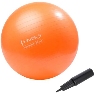 Ballon de Gymnastique Orange HMS - Équilibre & Force - Publicité Ballon de Gymnastique Orange HMS - Équilibre & Force - Publicité