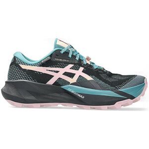 Asics Chaussures de trail pour femmes Trabuco 14 GTX noir 38