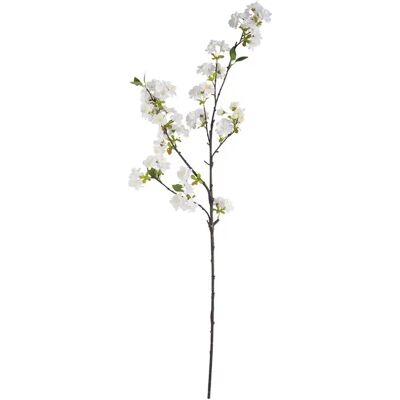 Fleurs artificielles Present Time Apple Blossom Blanc 20x93 cm - Publicité Fleurs artificielles Present Time Apple Blossom Blanc 20x93 cm - Publicité