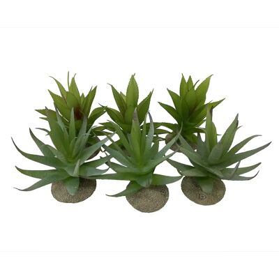 Aloë décoratif pour terrarium Terra Della Multicolore 12x11x11,5 cm - Publicité Aloë décoratif pour terrarium Terra Della Multicolore 12x11x11,5 cm - Publicité