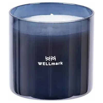 Bougies à brûler parfumée moyenne Wellmark Gris TU - Publicité Bougies à brûler parfumée moyenne Wellmark Gris TU - Publicité