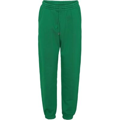 Joggeurs bio de Colorful Standard - Vert Kelly - XS - Unisexe - Publicité Joggeurs bio de Colorful Standard - Vert Kelly - XS - Unisexe - Publicité