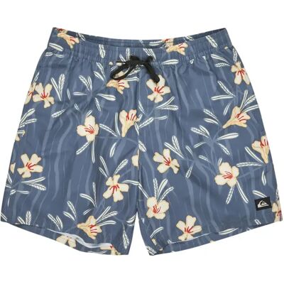 Short de bain Quiksilver Everyday Straight Volley (17") Bleu XS - Publicité Short de bain Quiksilver Everyday Straight Volley (17") Bleu XS - Publicité