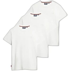 T-shirt brodé Superdry Essential Logo (x3) Blanc L - Publicité T-shirt brodé Superdry Essential Logo (x3) Blanc L - Publicité