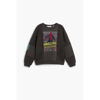 Sweatshirt enfant Desigual Marvel Spider Gris 9/10 ans - Publicité Sweatshirt enfant Desigual Marvel Spider Gris 9/10 ans - Publicité