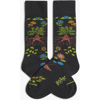 Chaussettes Jimmy Lion Harry Potter Herbology Gris 41/46 - Publicité Chaussettes Jimmy Lion Harry Potter Herbology Gris 41/46 - Publicité