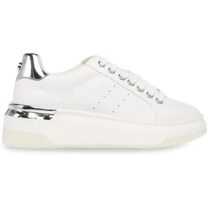 Baskets femme Steve Madden Glacial Blanc 38 - Publicité Baskets femme Steve Madden Glacial Blanc 38 - Publicité