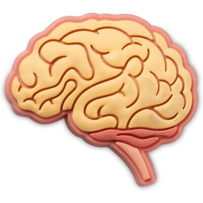 Jibbitz Crocs Anatomical Brain Marron TU - Publicité Jibbitz Crocs Anatomical Brain Marron TU - Publicité