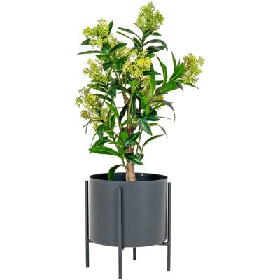 Plante artificielle House Nordic Skimmia Vert 40x40x75 cm - Publicité Plante artificielle House Nordic Skimmia Vert 40x40x75 cm - Publicité