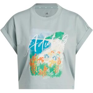 T-shirt femme adidas Summer Romance Graphic Vert L Female - Publicité T-shirt femme adidas Summer Romance Graphic Vert L Female - Publicité