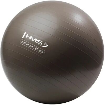 Gym ball Nouveau HMS YB02 Marron 65 cm Unisex - Publicité Gym ball Nouveau HMS YB02 Marron 65 cm Unisex - Publicité