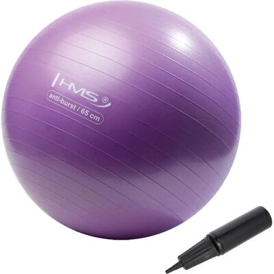 Gym ball Nouveau HMS YB02 Violet 65 cm Unisex - Publicité Gym ball Nouveau HMS YB02 Violet 65 cm Unisex - Publicité