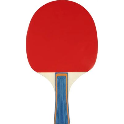 Raquette de tennis de table Avento 3-Star Noir TU Unisex - Publicité Raquette de tennis de table Avento 3-Star Noir TU Unisex - Publicité