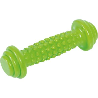 Haltère Vert 250 g Togu - Équipement de Fitness - Publicité Haltère Vert 250 g Togu - Équipement de Fitness - Publicité