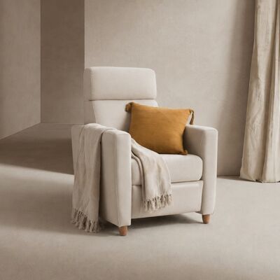 Dylan fauteuil relax - Publicité Dylan fauteuil relax - Publicité