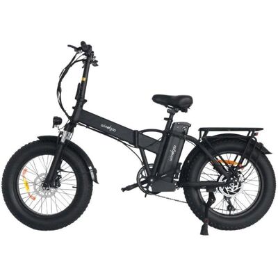 Vélo électrique Windgoo F21 Pro 250W 48V 12.5Ah 20x4.0 Noir - Publicité Vélo électrique Windgoo F21 Pro 250W 48V 12.5Ah 20x4.0 Noir - Publicité