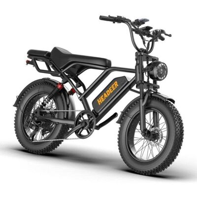 Vélo Électrique Headeer BK20 750W 48V 20Ah 45-80km - Publicité Vélo Électrique Headeer BK20 750W 48V 20Ah 45-80km - Publicité
