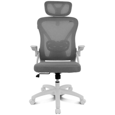 drift Chaise ergonomique DRAIR35 assise grise dossier maille blanche réglable accoudoirs pliables - Publicité drift Chaise ergonomique DRAIR35 assise grise dossier maille blanche réglable accoudoirs pliables - Publicité