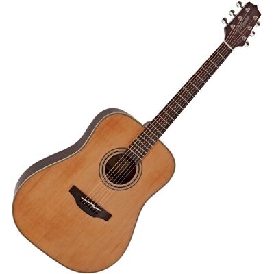 Takamine GD20-NS Dreadnought Acoustic Natural - Publicité Takamine GD20-NS Dreadnought Acoustic Natural - Publicité