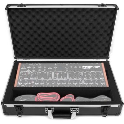 Analog Cases UNISON Case For Sequential Prophet Rev2 Desktop - Publicité Analog Cases UNISON Case For Sequential Prophet Rev2 Desktop - Publicité