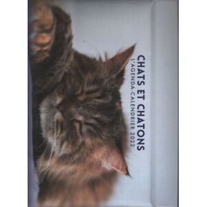 L'agenda - calendrier chats et chatons 2022 - Collectif - Publicité L'agenda - calendrier chats et chatons 2022 - Collectif - Publicité