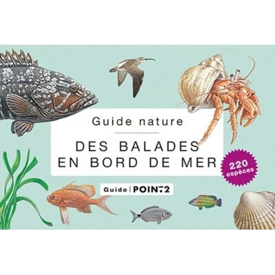 Guide nature des balades en bord de mer - Collectif - Publicité Guide nature des balades en bord de mer - Collectif - Publicité