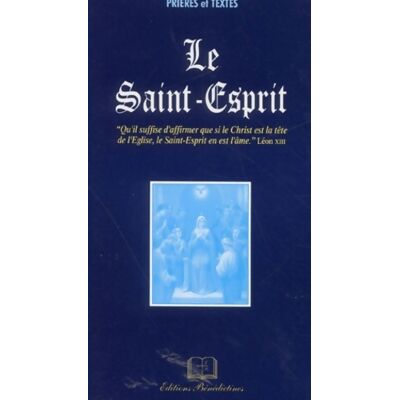 Le Saint-Esprit - Collectif - Publicité Le Saint-Esprit - Collectif - Publicité