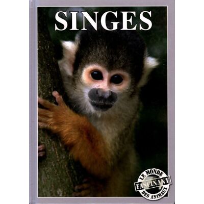 Singes - Geneviève De Becker - Publicité Singes - Geneviève De Becker - Publicité