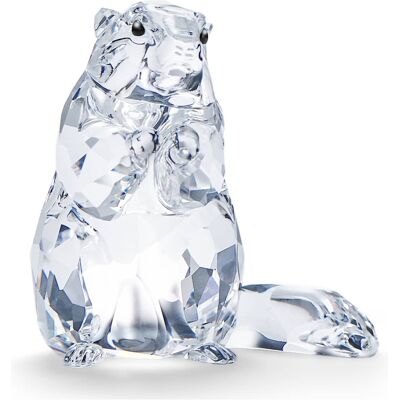 Swarovski SCS Marmotte (Objet Événement 2020) OS - Publicité Swarovski SCS Marmotte (Objet Événement 2020) OS - Publicité