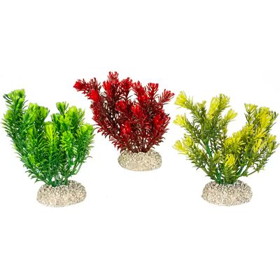 Décoration d'aquarium plante Aqua Della Canadensis S Vert - Publicité Décoration d'aquarium plante Aqua Della Canadensis S Vert - Publicité