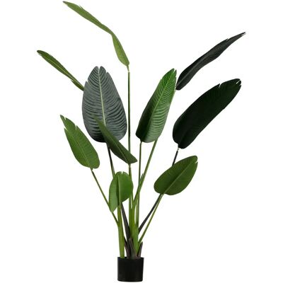 WOOOD Strelitzia - Plante artificielle - Vert - 164x96x63 cm - Publicité WOOOD Strelitzia - Plante artificielle - Vert - 164x96x63 cm - Publicité
