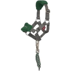 Licol et longe pour peluche LeMieux Toy Pony Vogue Vert - Publicité Licol et longe pour peluche LeMieux Toy Pony Vogue Vert - Publicité