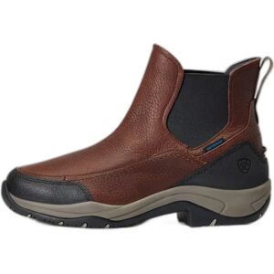 Chaussures d'écurie femme Ariat Terrain Blaze H2O Marron - Publicité Chaussures d'écurie femme Ariat Terrain Blaze H2O Marron - Publicité
