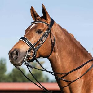 Bridons équitation pour cheval double rênes Acavallo Noir - Publicité Bridons équitation pour cheval double rênes Acavallo Noir - Publicité