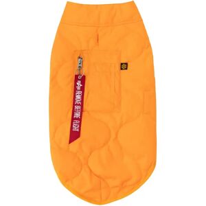 Veste pour chien Alpha Industries ALS Orange - Publicité Veste pour chien Alpha Industries ALS Orange - Publicité