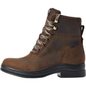 Chaussures d'écurie femme Ariat Harper H2O Marron - Publicité Chaussures d'écurie femme Ariat Harper H2O Marron - Publicité