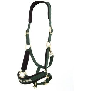 Licol pour cheval Back on Track Werano Vert - Publicité Licol pour cheval Back on Track Werano Vert - Publicité
