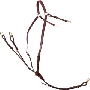 Collier de chasse pour cheval avec brides de selle BR Equitation Rayleigh Marron - Publicité Collier de chasse pour cheval avec brides de selle BR Equitation Rayleigh Marron - Publicité