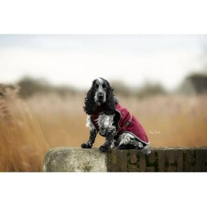 Harnais pour chien Bucas Show-Line Rouge - Publicité Harnais pour chien Bucas Show-Line Rouge - Publicité